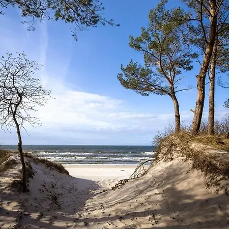 Kapitanska A12 *